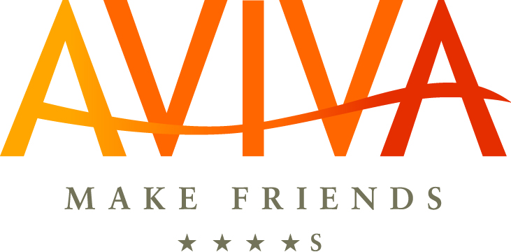 AVIVA Single Hotel make friends